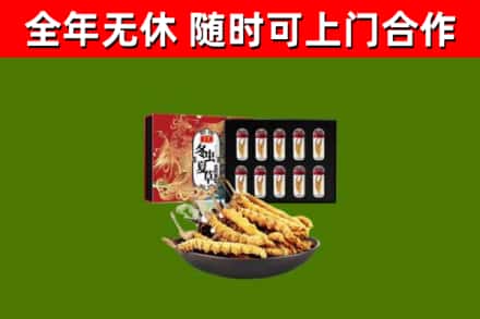 伊犁哈萨克回收冬虫夏草价格